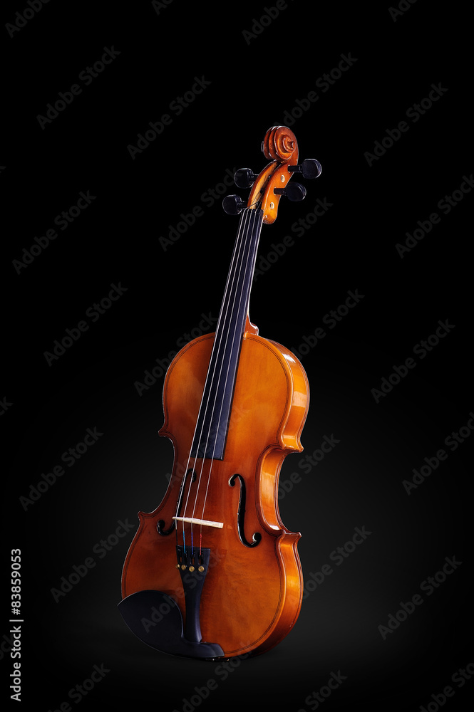 Violin isolated on black. Classical music instrument Violin isolated on black. Classical music instrument