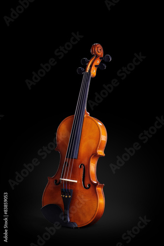Violin isolated on black. Classical music instrument