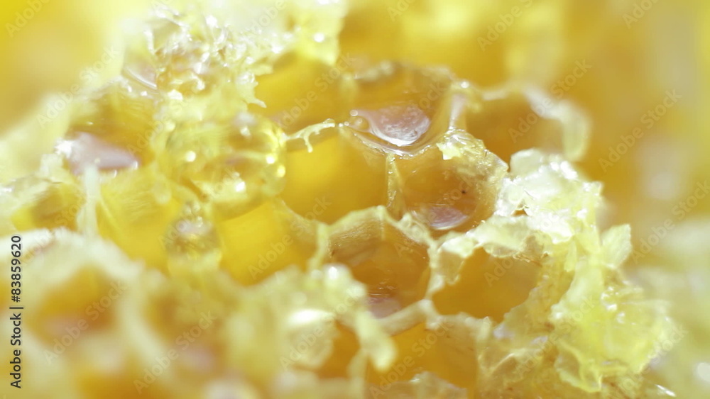 Liquid honey dripping onto the honeycomb Liquid honey dripping onto the honeycomb