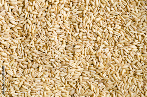 oat grains background