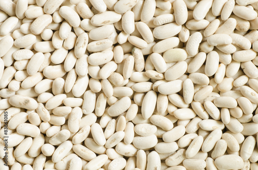 white bean seeds