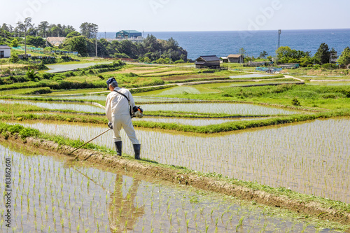 棚田　袖志