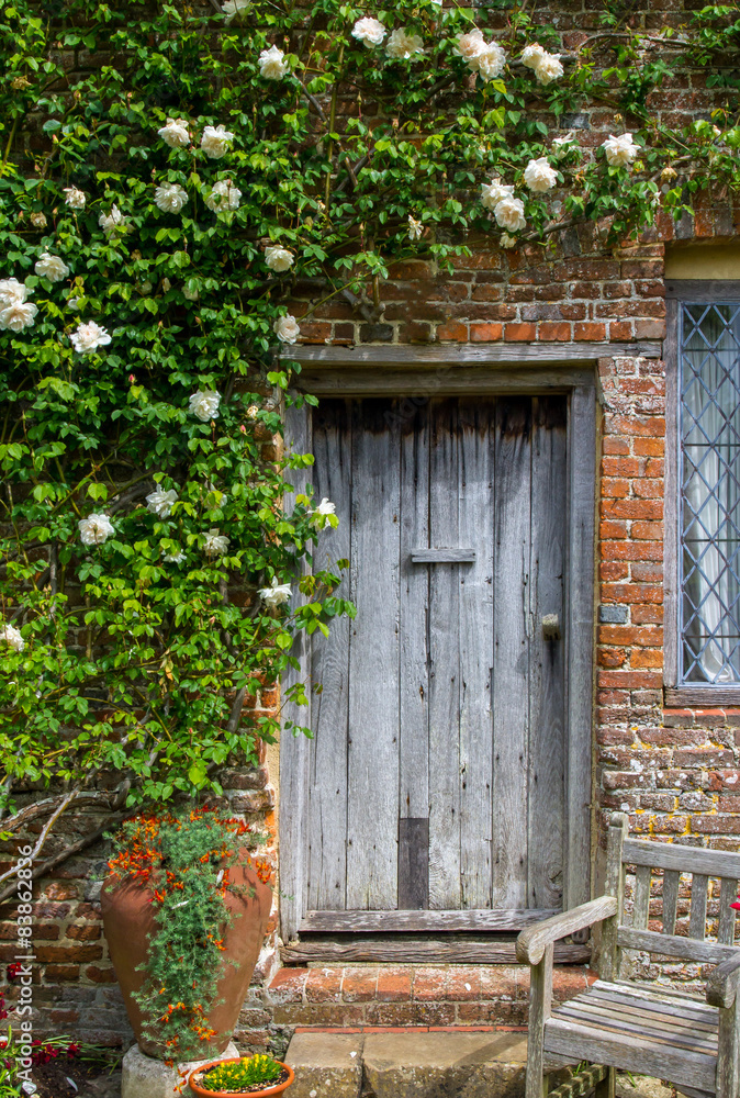 Old Wooden Door Framed by White Roses