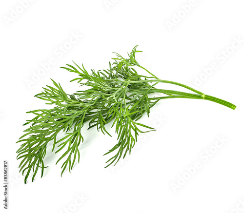 Fotografering dill isolated on white background