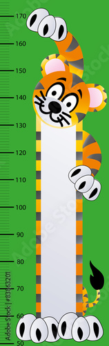 Fototapeta Naklejka Na Ścianę i Meble -  tygrys,miarka