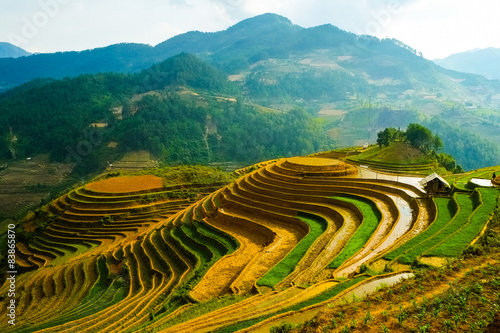 Rice fields on terraced of Mu Cang Chai, YenBai, Vietnam © cristaltran