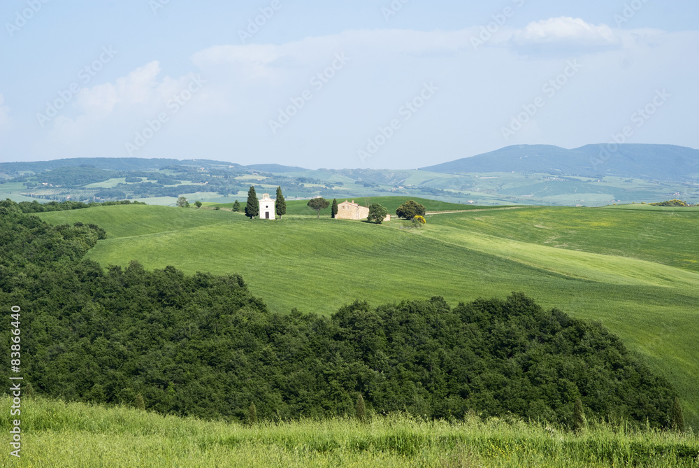Countryside, San Quirico d`Orcia, Tuscany, Italy