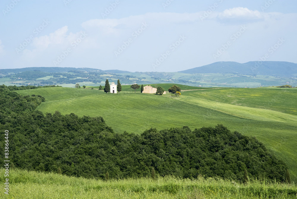 Obraz premium Countryside, San Quirico d`Orcia, Tuscany, Italy