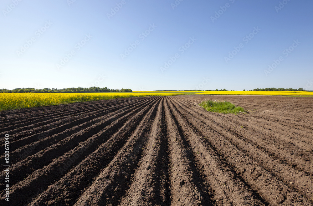 plowed field  