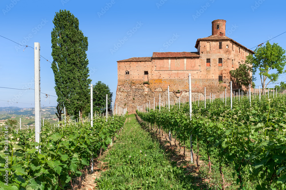 Old castle and vineyards in Italy.