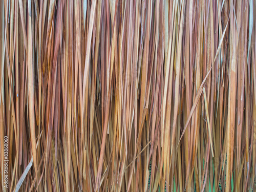 Vetiver grass