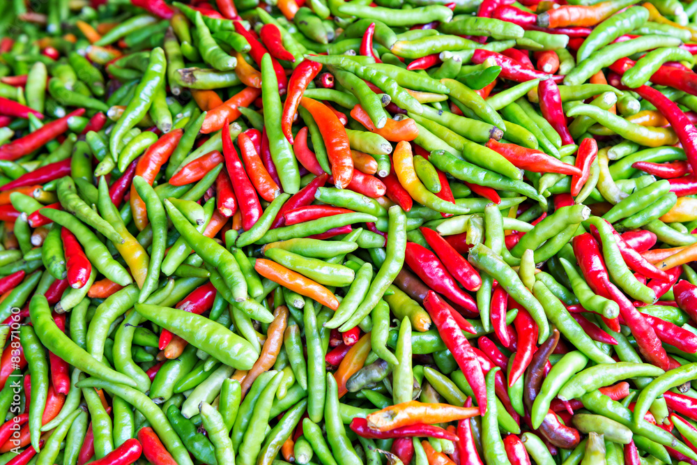 Pile of fresh chili Pile of fresh chili
