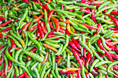 Pile of fresh chili © skarie