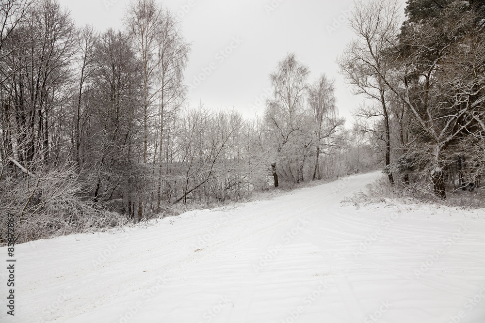 Obraz premium the winter road 