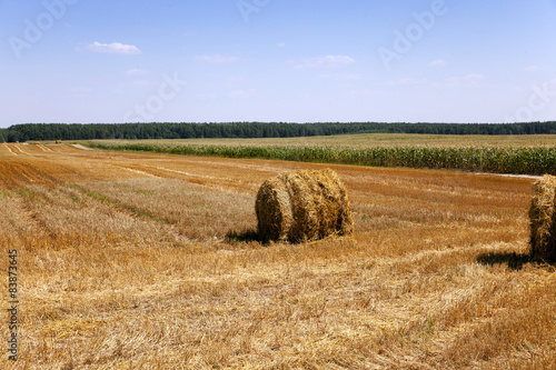 straw stack 