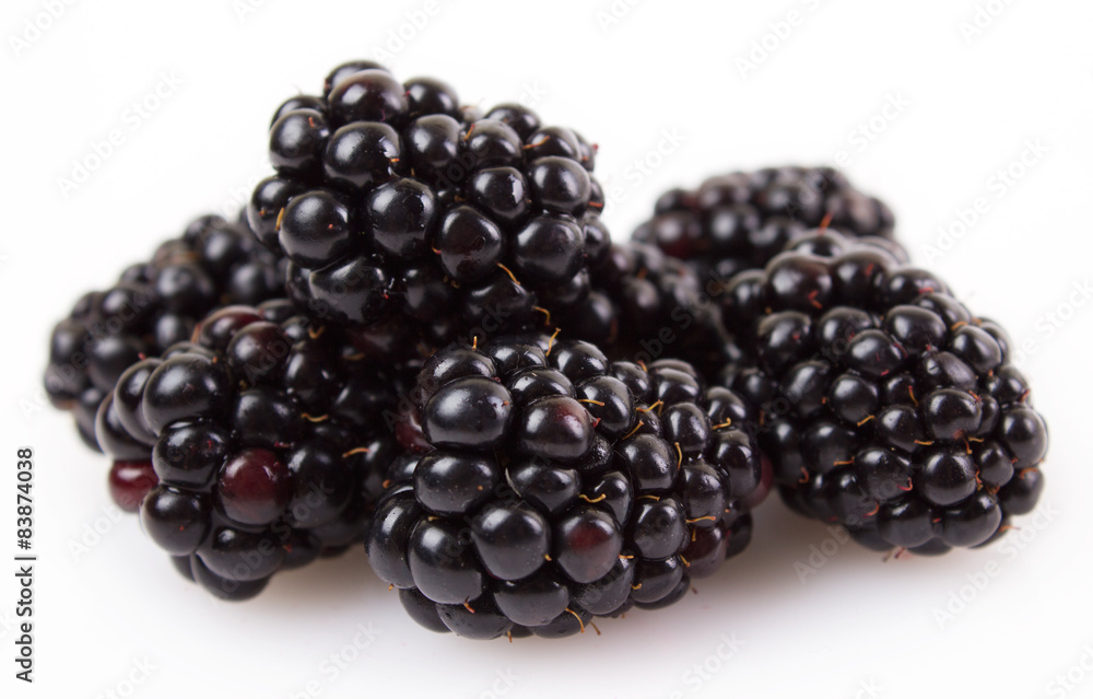 Fresh blackberry Fresh blackberry
