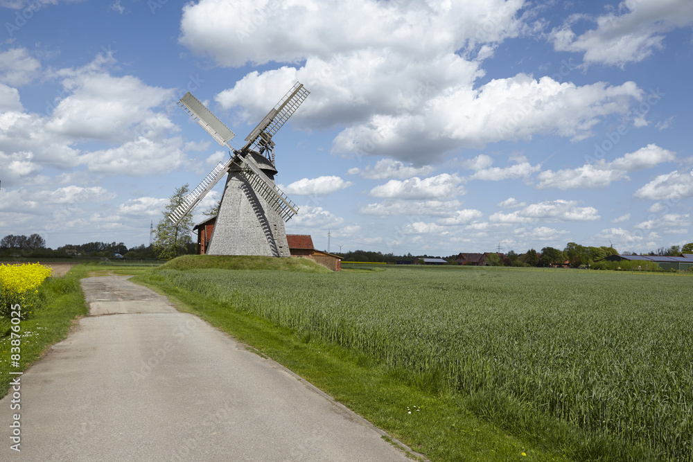 Fototapeta premium Windmühle Bierde (Petershagen)