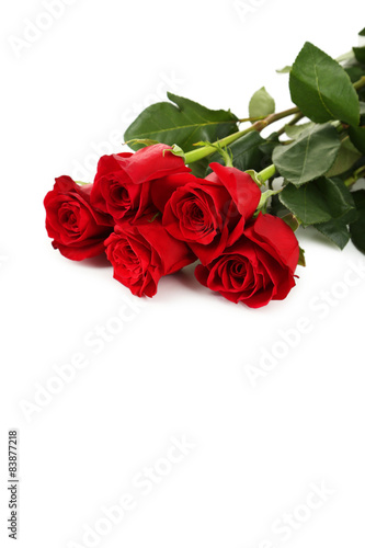 Fototapeta Naklejka Na Ścianę i Meble -  Five fresh red roses on white background