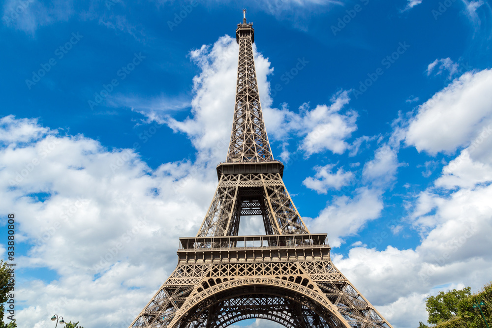 Fototapeta premium Eiffel tower in Paris