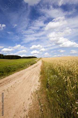 the rural road 