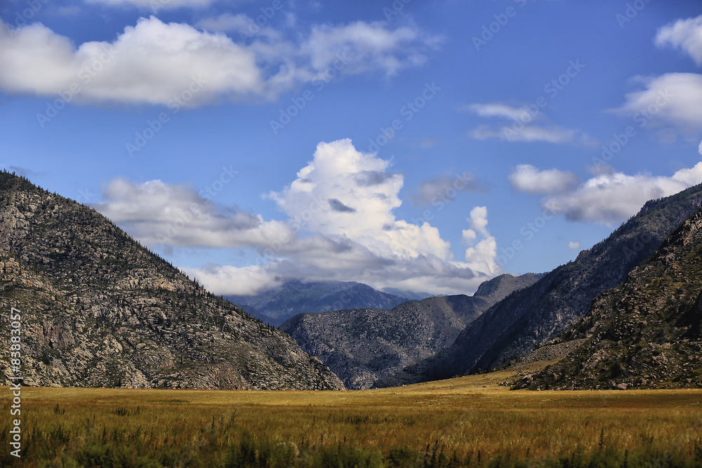 Gold field on the background of mountains and sky