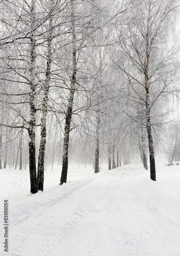 the winter road 