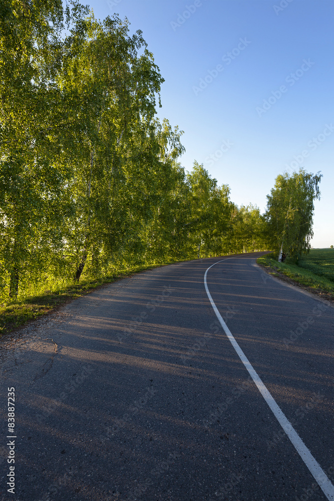 Fototapeta premium the asphalted road 