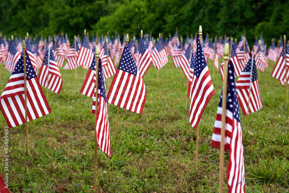 A lot of american flags. Memorial/ Independence Day celebration