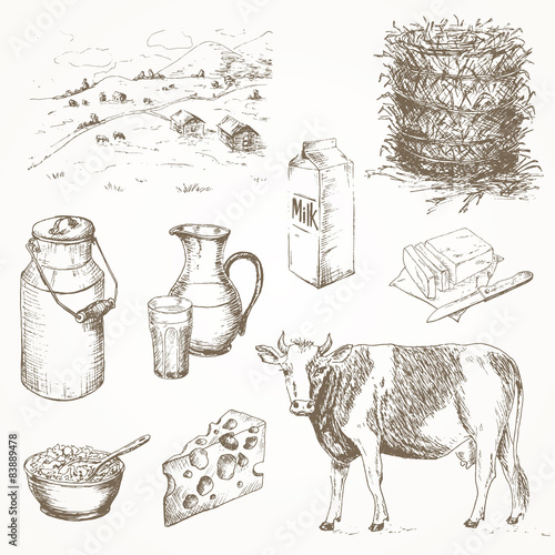 Milk products and cow