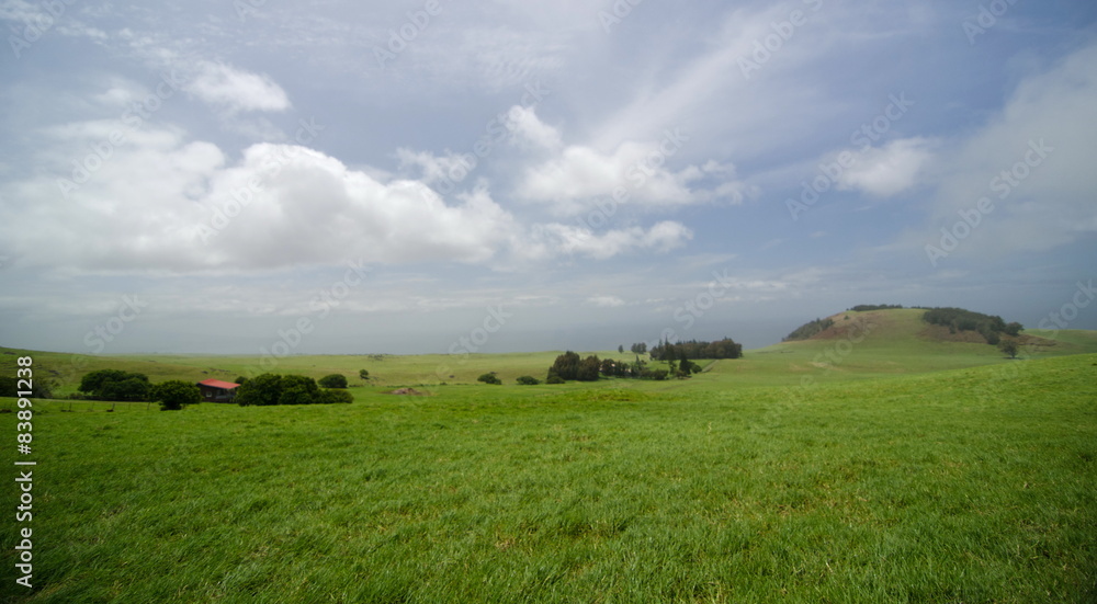 Shack on Kohala Mountain Road, Waimea