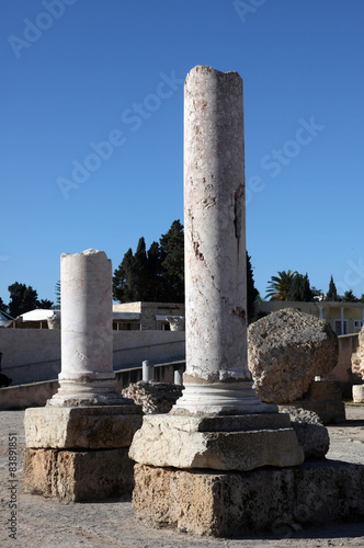 Tunisia. Ancient Carthage. The Antonine Baths © zatletic