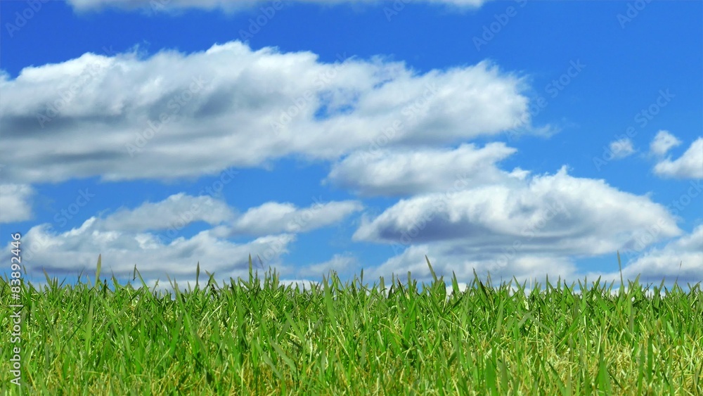 Green Grass with Time Lapse Sky, Panning Right to Left Green Grass with Time Lapse Sky, Panning Right to Left