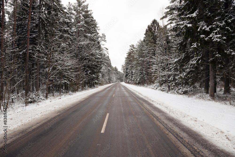 the winter road the winter road