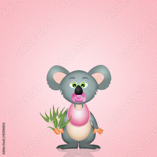 Fototapeta Naklejka Na Ścianę i Meble -  baby koala