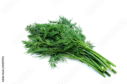 Fresh green herb