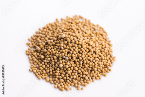 Yellow mustard seeds isolated