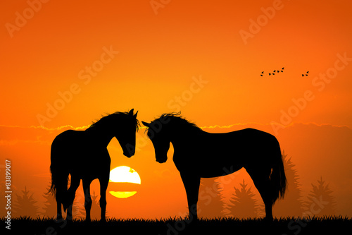horses silhouette in love