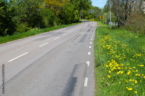 Fotografi Blossom roadside