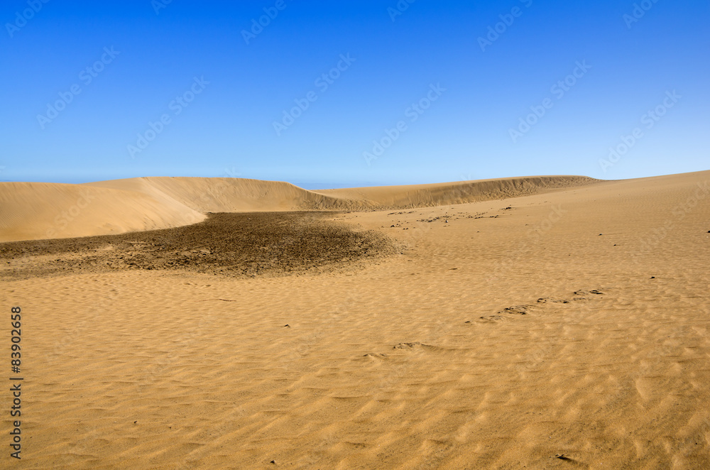 Dunes of Maspalomas