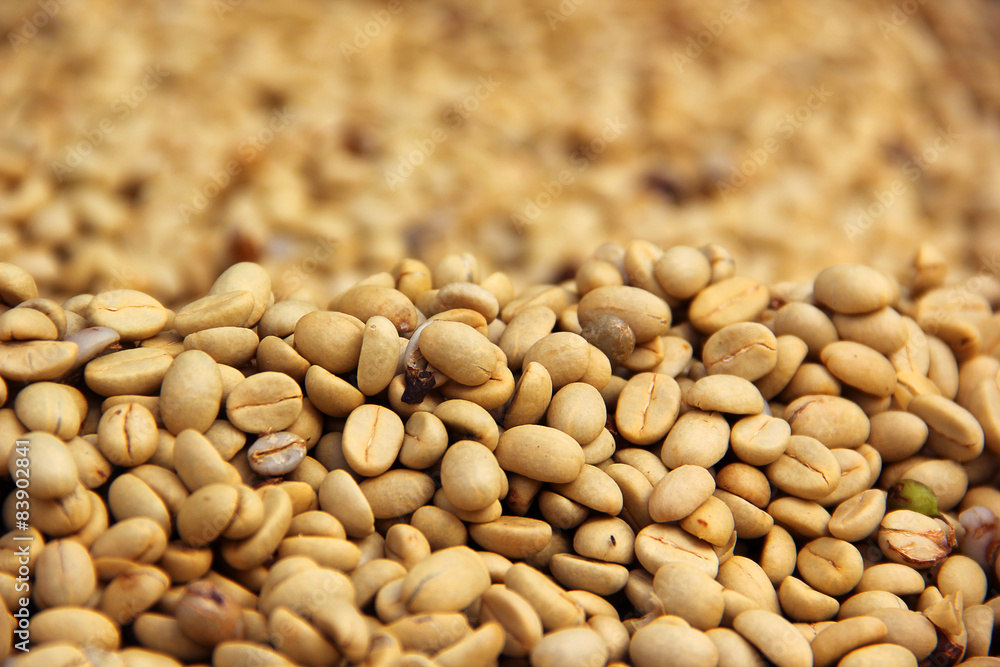 Coffee beans Coffee beans