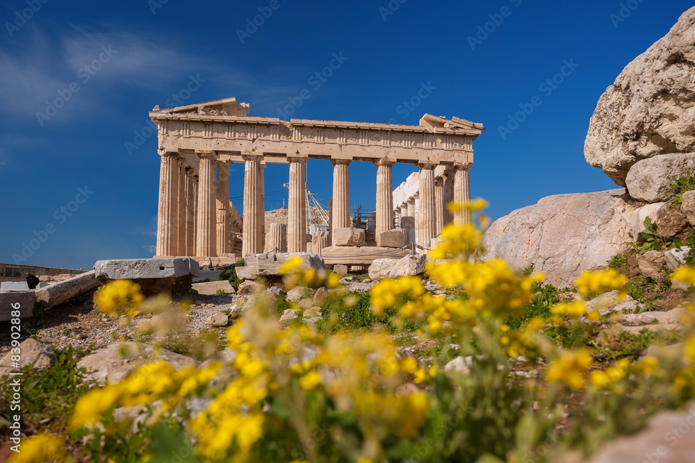 Fototapeta premium Parthenon temple on the Acropolis in Athens, Greece