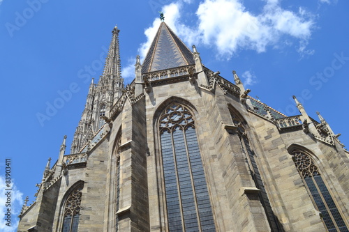 Cathedral in Vienna