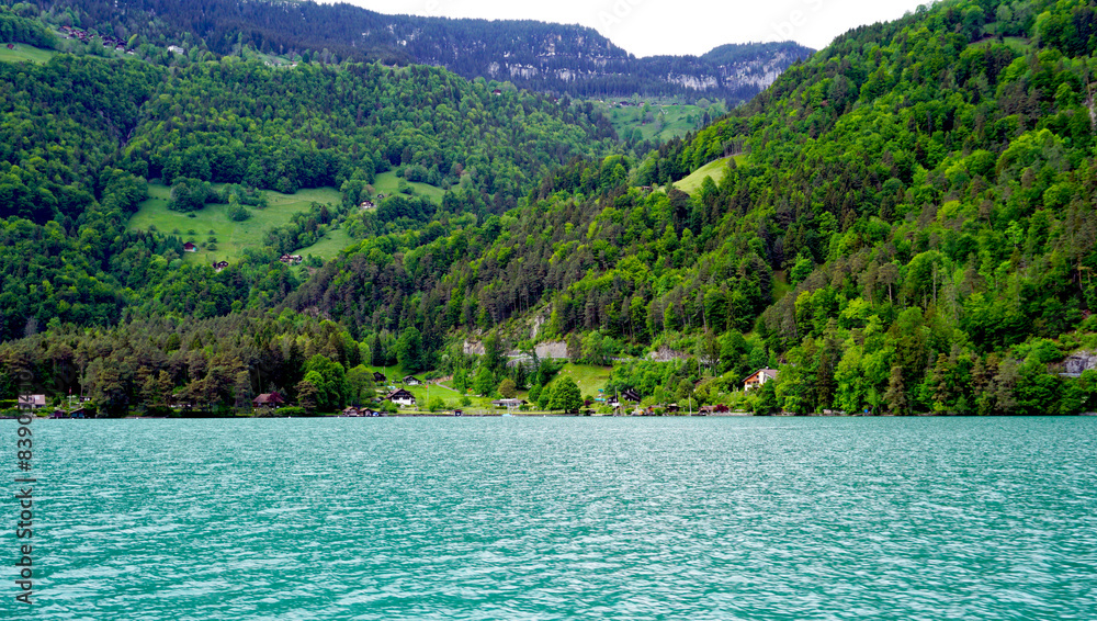 Scenery of Thun Lake
