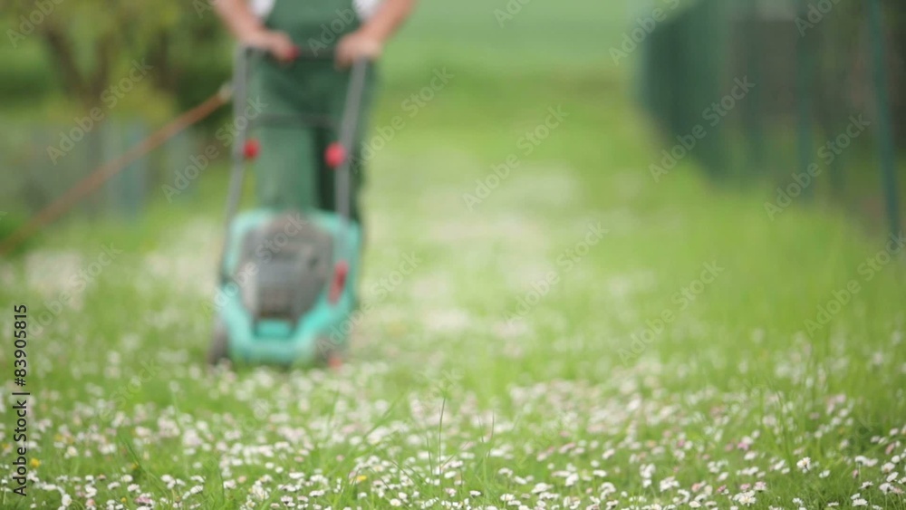 Gardener cutting a grass on his small garden with an electric lawn mower Gardener cutting a grass on his small garden with an electric lawn mower
