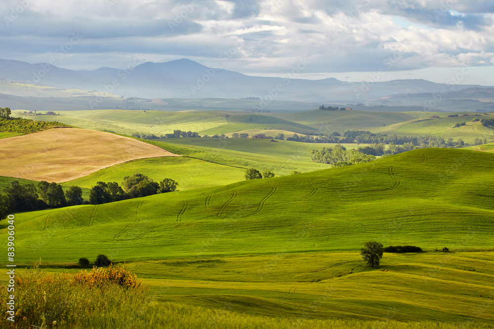 Scenic summer Tuscany landscape , Italy