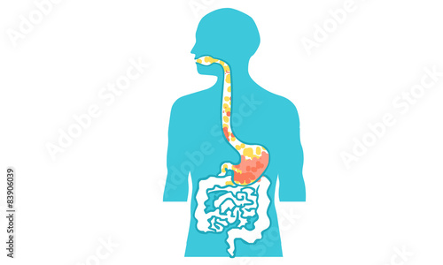inside body human vector