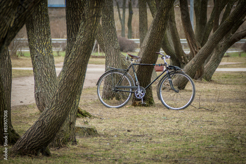 велосипед в парке