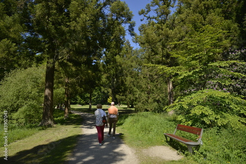 Promenade dans la nature luxuriante du parc Solvay 