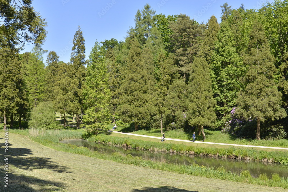 Le bout de l'étang de la Longue Queue au parc Solvay 