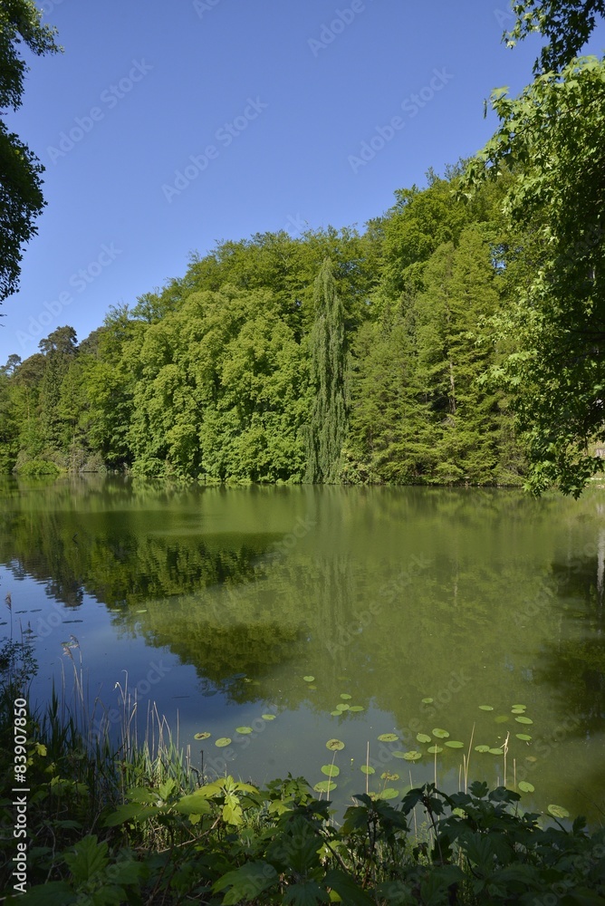 L'étang de la Grande Queue dans sa splendeur au parc Solvay